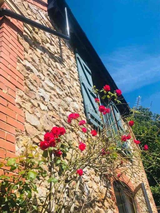Вилла Burleyhayes Barn - Secluded Devon Hideaway. Hemyock Экстерьер фото
